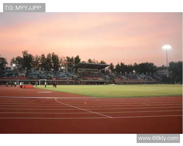 陈强谈乒乓球生涯：从青涩少年到世界冠军的奋斗与荣耀